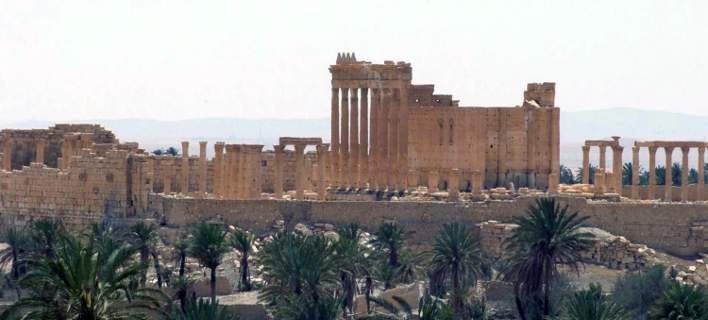 palmyra02